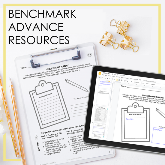 Benchmark Advance File Labels FREEBIE by Teach Me Silly